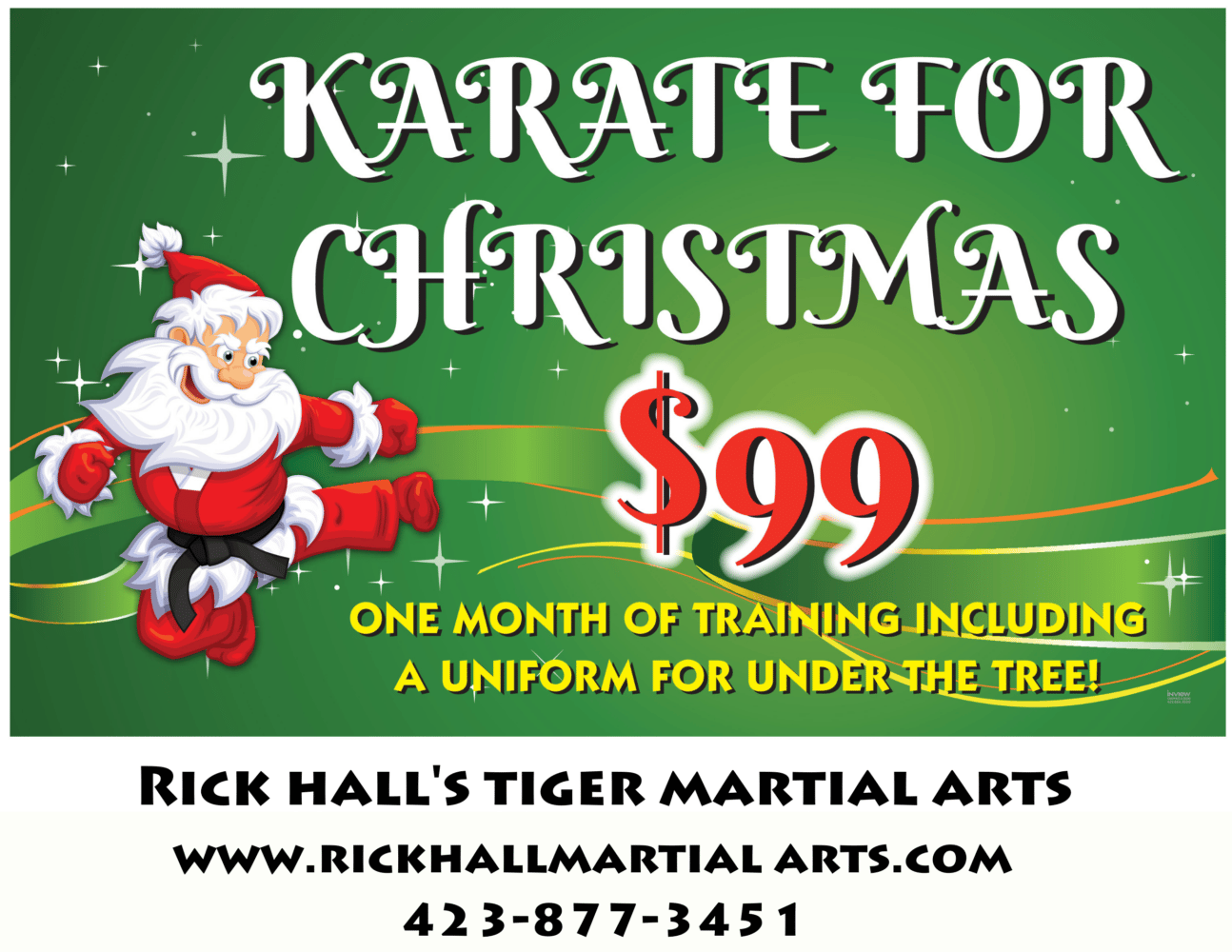 Rick Hall's Tiger Martial Arts Karate for Christmas